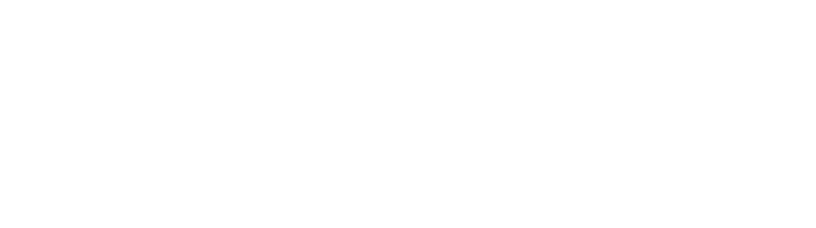 logo salvandcar blanco retina