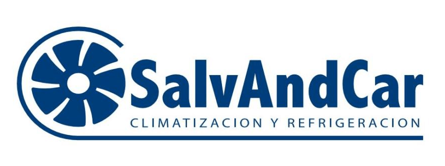 logo salvandcar